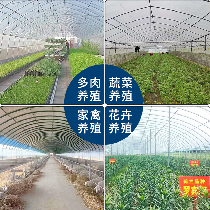 微信图片_20211219091238.png