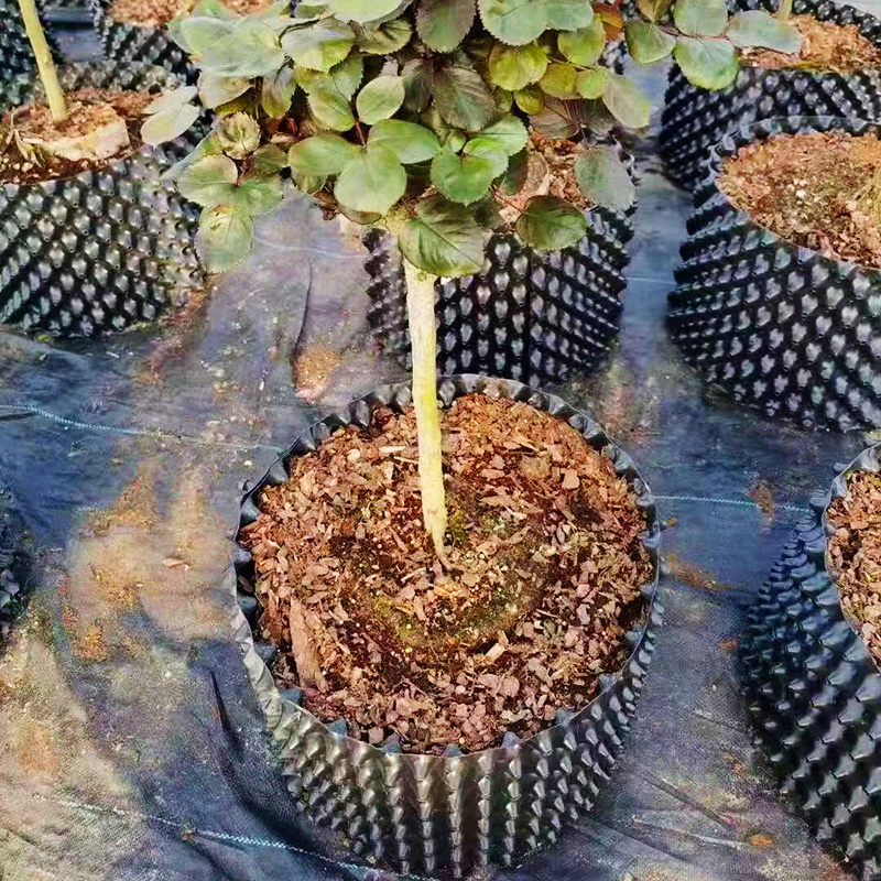 Periuk bunga pagar budaya tinggi khas untuk penanaman pokok untuk peranti kawalan akar untuk meningk