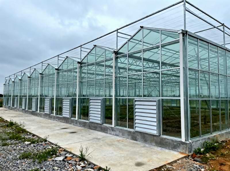 Rumah Hijau Sayur & Buah